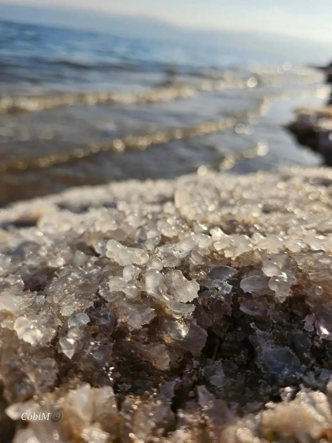 Beautiful Home On The Dead Sea! Avnat Kamer foto